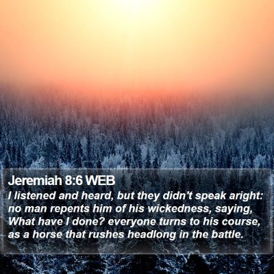 Jeremiah 8:6 WEB Bible Verse Image