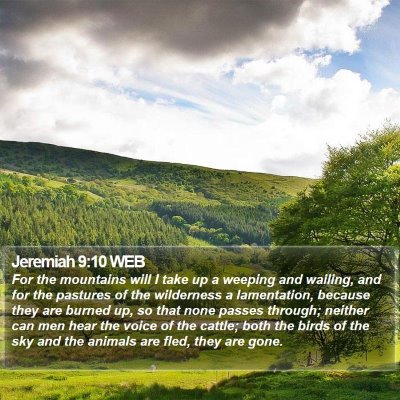 Jeremiah 9:10 WEB Bible Verse Image