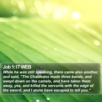 Job 1:17 WEB Bible Verse Image