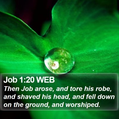Job 1:20 WEB Bible Verse Image