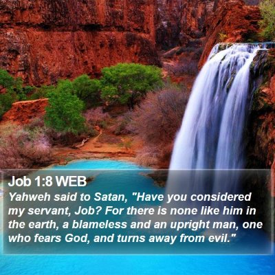 Job 1:8 WEB Bible Verse Image
