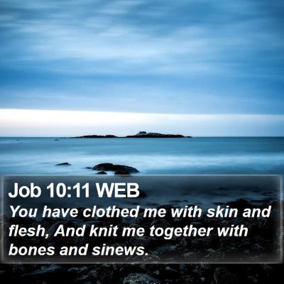 Job 10:11 WEB Bible Verse Image
