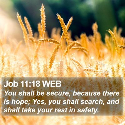 Job 11:18 WEB Bible Verse Image