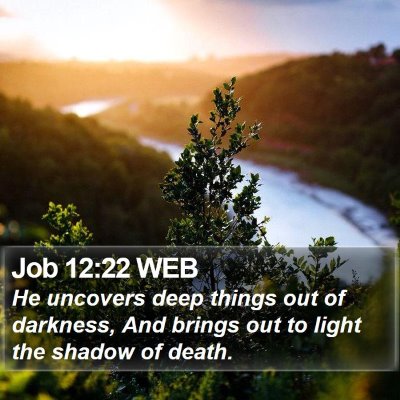 Job 12:22 WEB Bible Verse Image