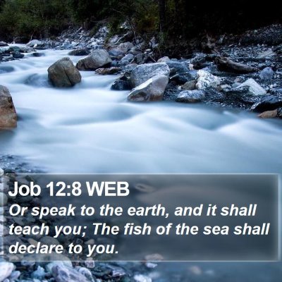 Job 12:8 WEB Bible Verse Image