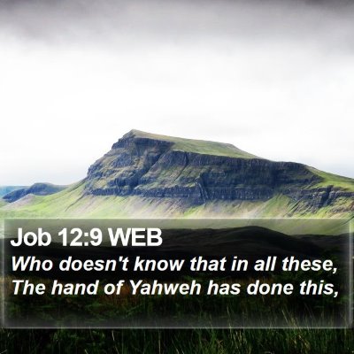 Job 12:9 WEB Bible Verse Image