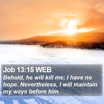 Job 13:15 WEB Bible Verse Image