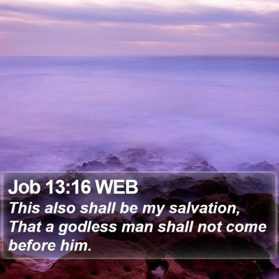 Job 13:16 WEB Bible Verse Image