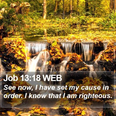 Job 13:18 WEB Bible Verse Image