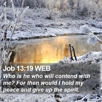 Job 13:19 WEB Bible Verse Image