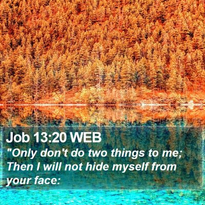 Job 13:20 WEB Bible Verse Image
