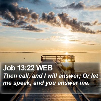 Job 13:22 WEB Bible Verse Image