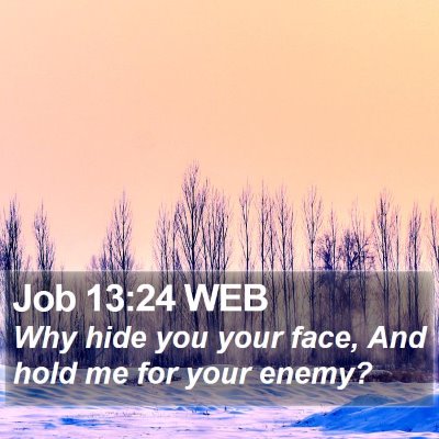 Job 13:24 WEB Bible Verse Image