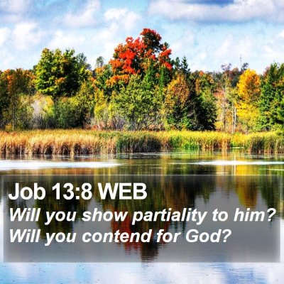 Job 13:8 WEB Bible Verse Image