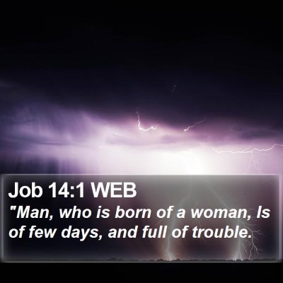 Job 14:1 WEB Bible Verse Image