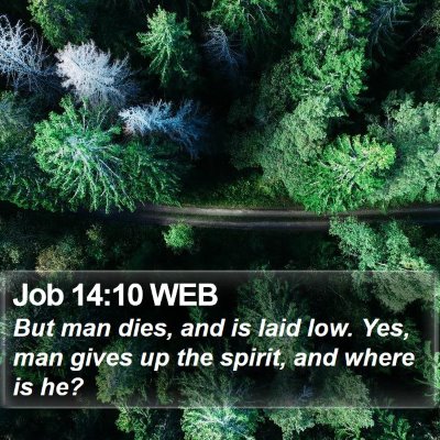 Job 14:10 WEB Bible Verse Image