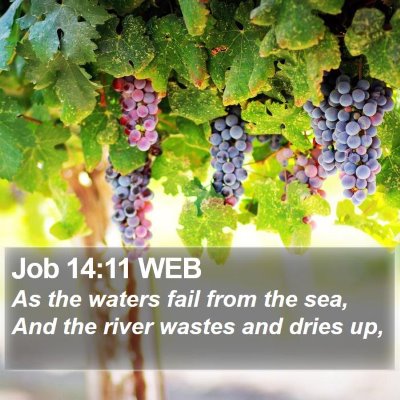 Job 14:11 WEB Bible Verse Image