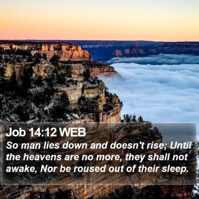 Job 14:12 WEB Bible Verse Image