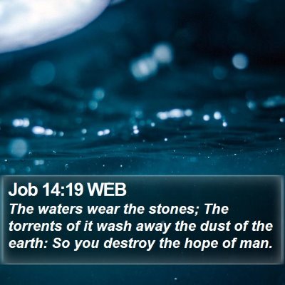 Job 14:19 WEB Bible Verse Image