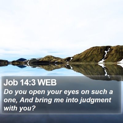 Job 14:3 WEB Bible Verse Image