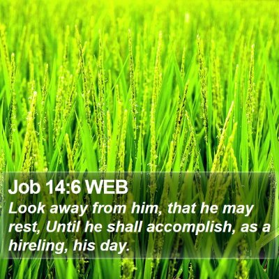 Job 14:6 WEB Bible Verse Image