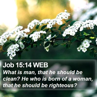 Job 15:14 WEB Bible Verse Image