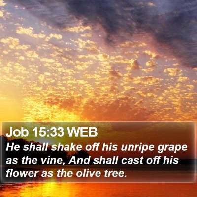Job 15:33 WEB Bible Verse Image