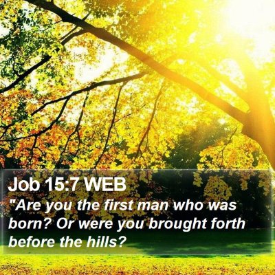 Job 15:7 WEB Bible Verse Image