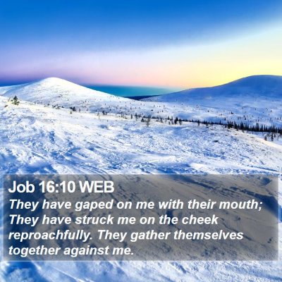 Job 16:10 WEB Bible Verse Image