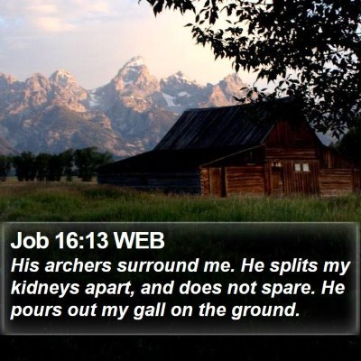 Job 16:13 WEB Bible Verse Image
