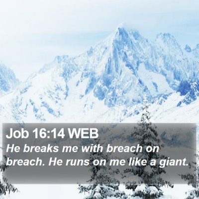 Job 16:14 WEB Bible Verse Image