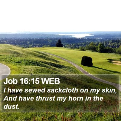 Job 16:15 WEB Bible Verse Image