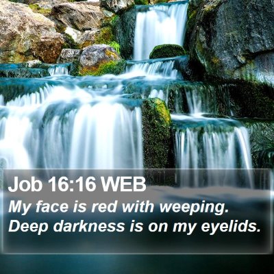 Job 16:16 WEB Bible Verse Image