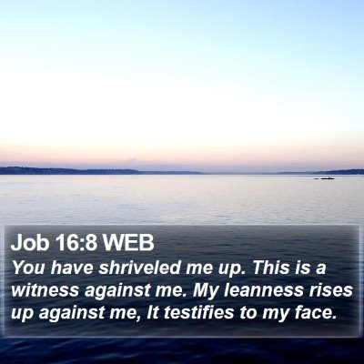 Job 16:8 WEB Bible Verse Image