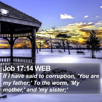 Job 17:14 WEB Bible Verse Image