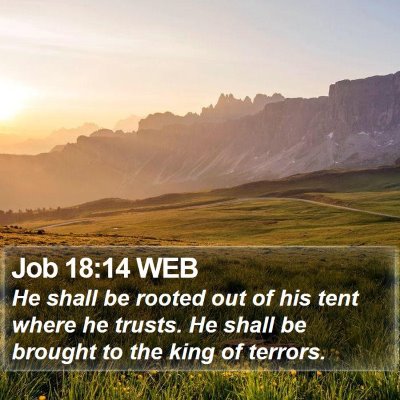 Job 18:14 WEB Bible Verse Image