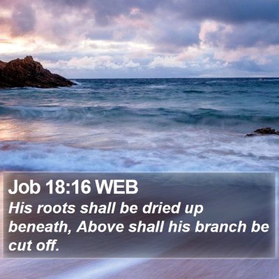 Job 18:16 WEB Bible Verse Image