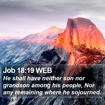 Job 18:19 WEB Bible Verse Image