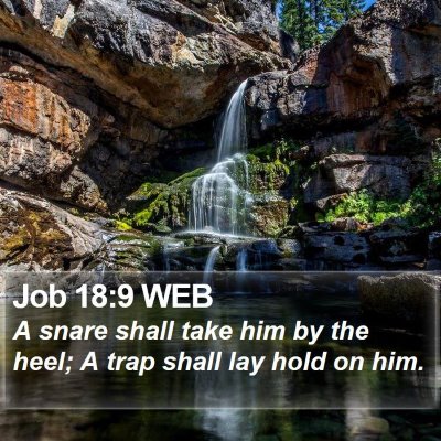Job 18:9 WEB Bible Verse Image