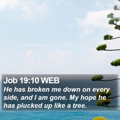 Job 19:10 WEB Bible Verse Image