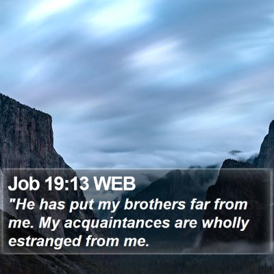 Job 19:13 WEB Bible Verse Image