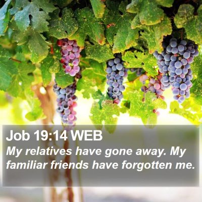 Job 19:14 WEB Bible Verse Image