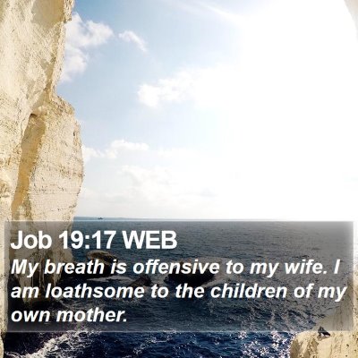 Job 19:17 WEB Bible Verse Image