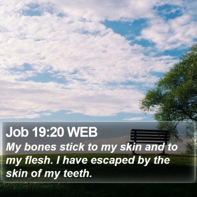 Job 19:20 WEB Bible Verse Image