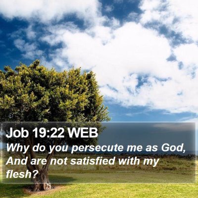 Job 19:22 WEB Bible Verse Image