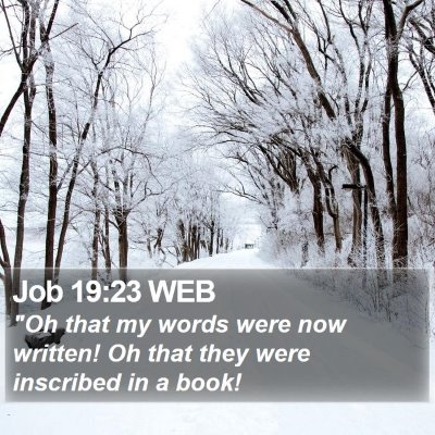 Job 19:23 WEB Bible Verse Image