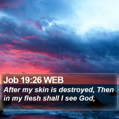 Job 19:26 WEB Bible Verse Image
