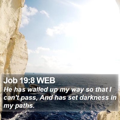 Job 19:8 WEB Bible Verse Image