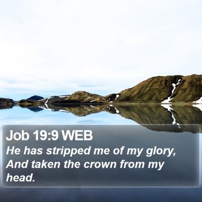 Job 19:9 WEB Bible Verse Image
