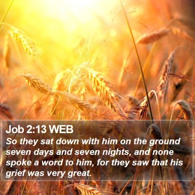 Job 2:13 WEB Bible Verse Image